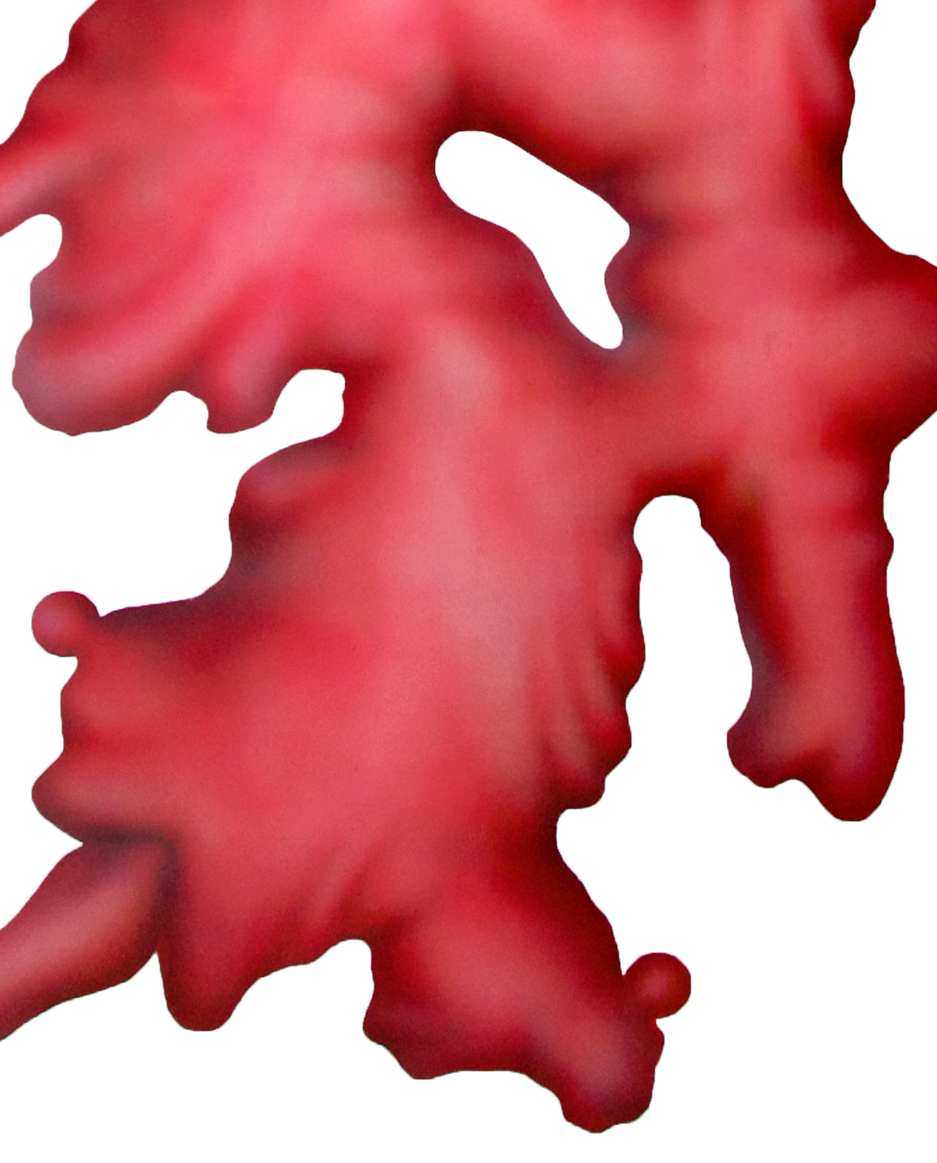 Untitled (image 8)作品近照